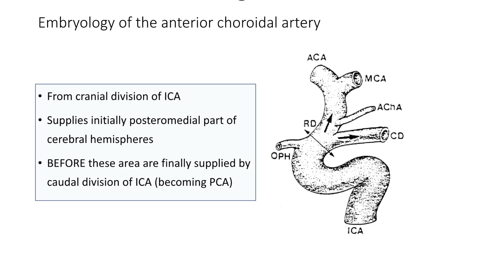 From cranial division of ICA. Supplies initially posteromedial part of cerebral hemispheres. BEFORE these area are finally supplied by caudal division of ICA (becoming PCA)