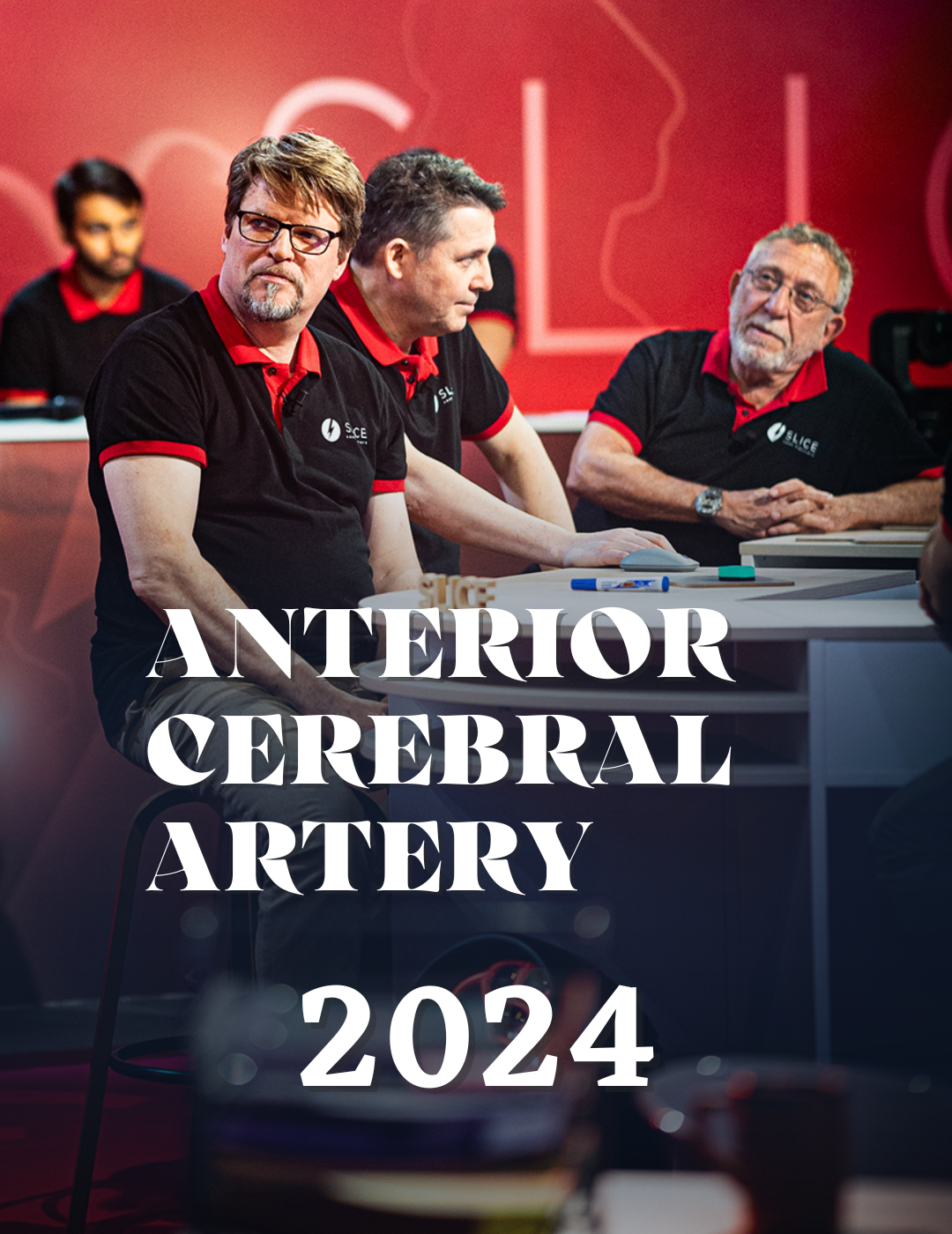 Anterior cerebral artery 2024